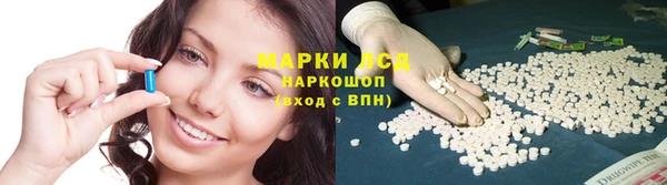ECSTASY Алзамай