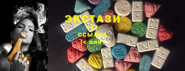 ECSTASY Алзамай
