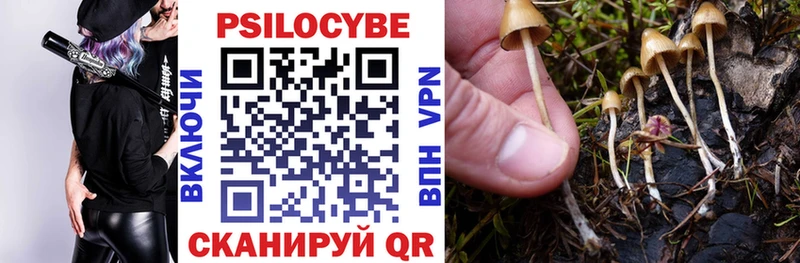 mega как войти  Махачкала  Галлюциногенные грибы GOLDEN TEACHER  купить закладку 