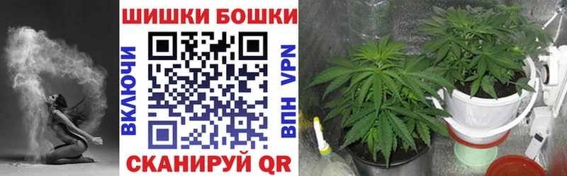 даркнет сайт  Махачкала  блэк спрут tor  это официальный сайт  Бошки марихуана семена 
